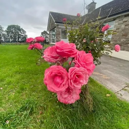 Holiday home Sheelin Side House